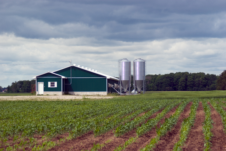 Storm Clouds over Hog Farm